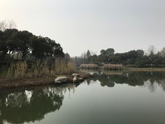 -尚贤河湿地