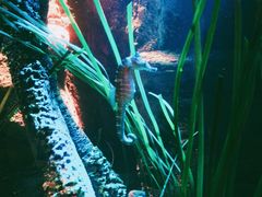 -沈阳海洋探索中心