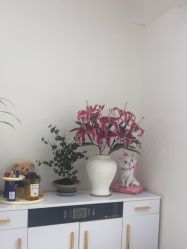 -WENDY·温迪皮肤管理