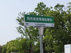-观潮胜地公园