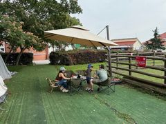 -苏州太湖西山岛开心农场