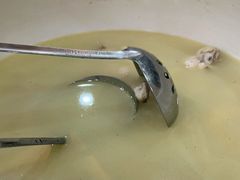 -顺德美食坊(南沙分店)