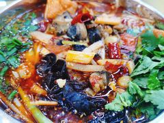 螺丝肉汤粉-红鼻子桂林米粉(金唐新光界店)