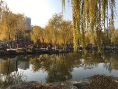 -西宁市人民公园(城西区)