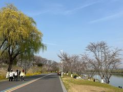-羊山湖公园