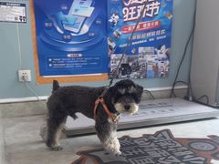 -纳吉亚猫专科动物医院·北北分院