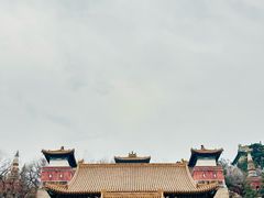 -颐和园