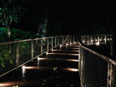 -白云山风景名胜区