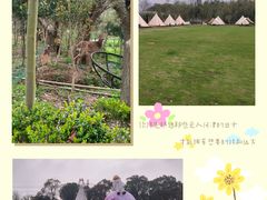 -不觉晓CAMPING(上海迪士尼营地店)