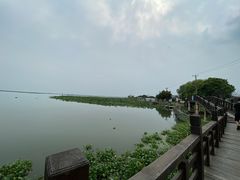 -七的湖·晚芳亭·阳澄湖农家菜·大闸蟹(莲花岛店)