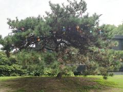 -同里国家湿地公园