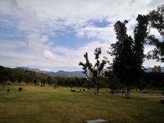 -牛岗山公园