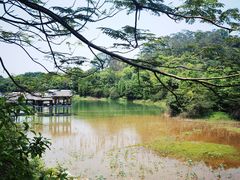 -水濂山森林公园