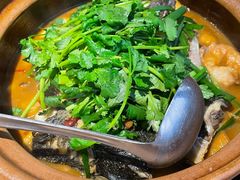 -九道菜有鸡鱼头(石鼓路店)