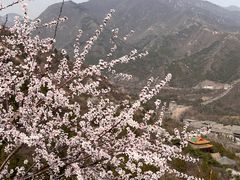 -居庸关长城