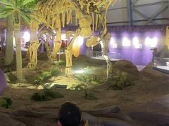 -辽宁古生物博物馆