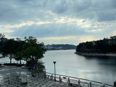-几荷·恰似故人来(秀水广场店)