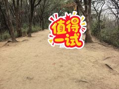 -灵岩山风景区