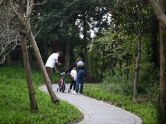 -昆山城市生态森林公园