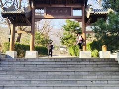 -阳台山自然风景区