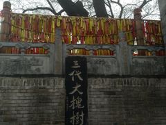 -大槐树寻根祭祖园