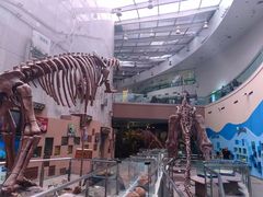 -陕西自然博物馆