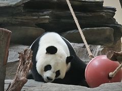 -宁波野生动物园