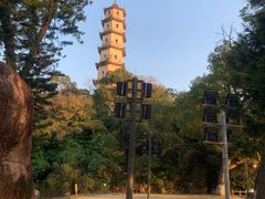 -江心屿景区