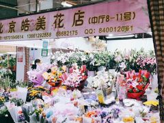 -花鸟鱼虫鲜花绿植市场(玉泉路店)