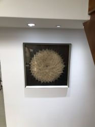 -安那般那皮肤年轻化ANAPANA