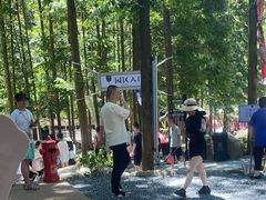 -安吉龙王山峡谷漂流