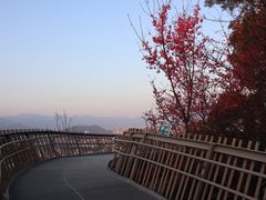 -福道