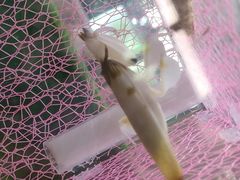 -上海昆虫博物馆