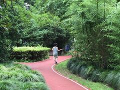 -新湖明珠城