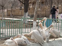 -水上乐园·欢乐世界