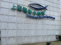 -上海海洋水族馆