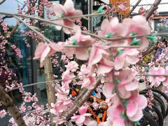 -田园东方蜜桃村的田野营地