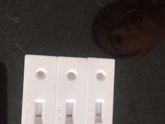 狗狗实际结果。我亲眼看着测出来的。-悦宠凯宝动物医院·牙科·皮肤科(朝阳北路店)