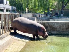 -保定市动物园