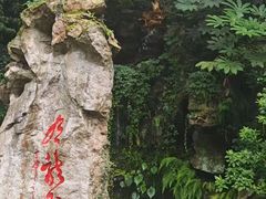 -杭州黄龙洞