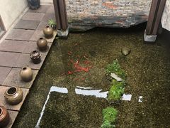 -几荷·恰似故人来(秀水广场店)