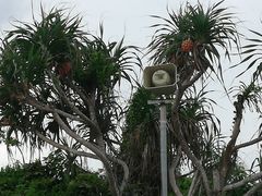 -亚龙湾海底世界