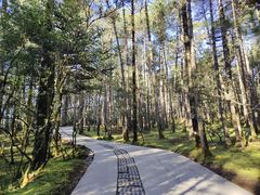 -玉龙雪山蓝月谷