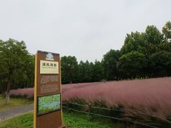 -南湖湿地公园