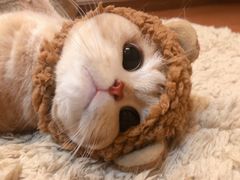 -富源春面馆(四川北路店)