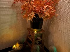 -Dragonfly悠庭·按摩Spa(静安嘉里中心店)