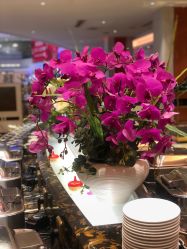 -白金汉爵大酒店·宴会厅