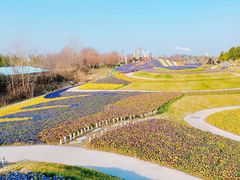 -南通洲际绿博园