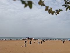-红碱淖景区