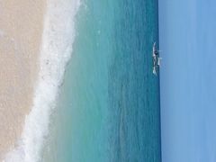 -白沙滩